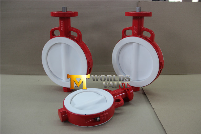 Full PTFE Coated Wafer Butterfly Valve with Bare Stem (CBF04-TA01)