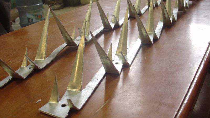 Hot-Dipped Galvanized Wall Spike/Razor Wall Spike