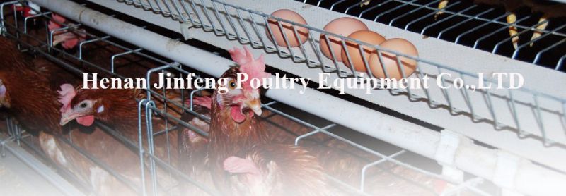 Factory Top Selling Chicken Layer Cage for Africa Poultry Equipment