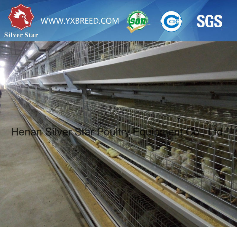 Big Farm Bird Cage for Hot Sale