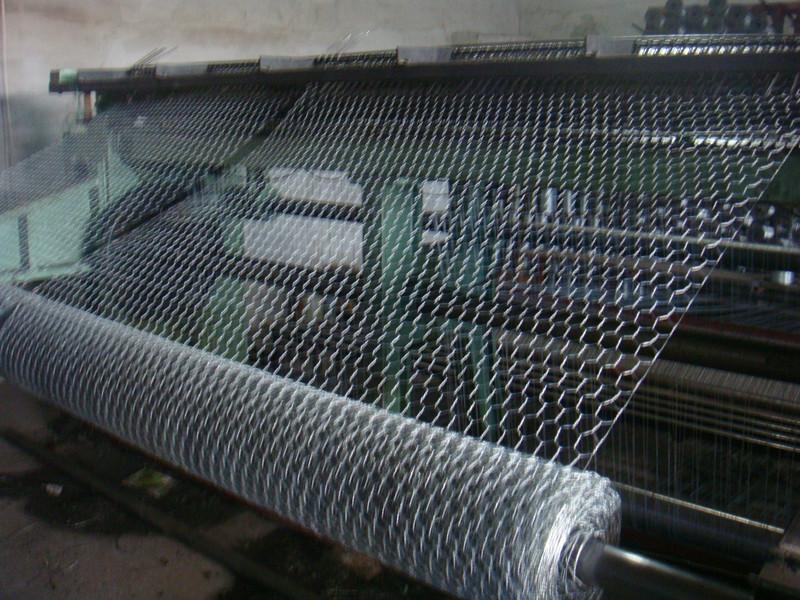 Hexaognal Fence Mesh Wire Mesh