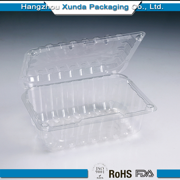 Clear Plastic Packaging for Fast Food Container