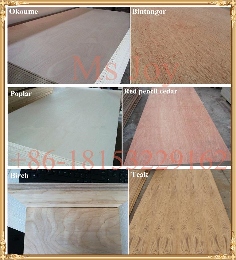 Okoume/Bintangor/Oak/Teak/Birch Commercial Plywood