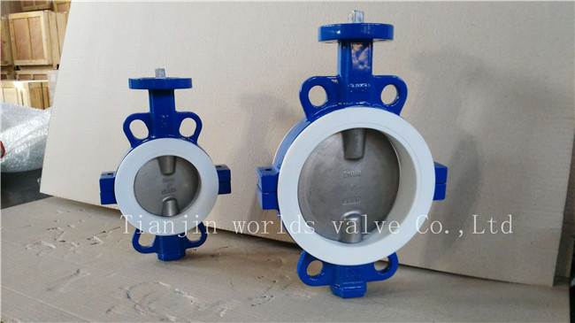 PTFE Butterfly Valve with Ce ISO Wras (CBF04-TA01)