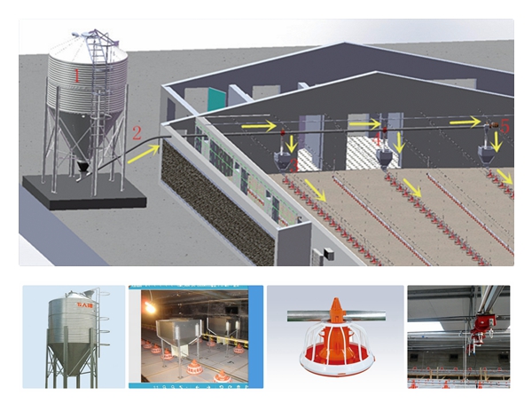 Poultry Feeding Equipment for Broiler Production