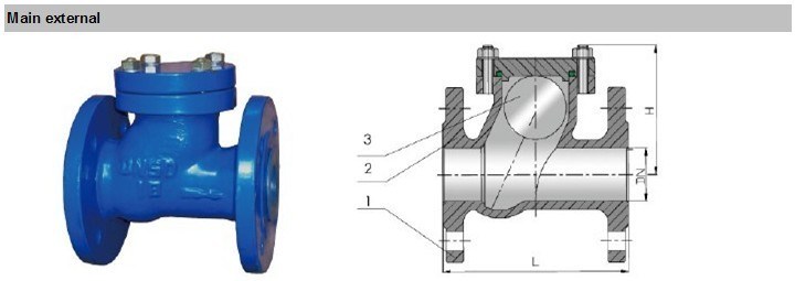 Epoxy Coating Ductile Iron Ball Check Valve