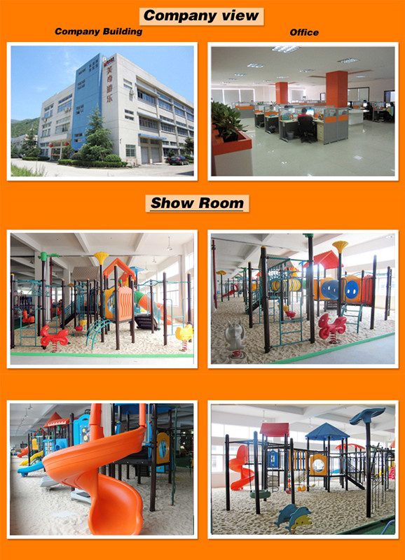 Child Outdoor Playground Equipment with CE Approved (5206A)