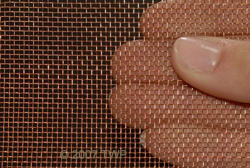 Phospher Bronze Woven Wire Mesh