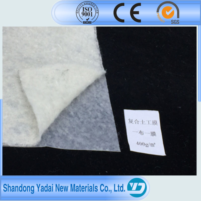 HDPE LDPE Film Fabric Geocomposite Geomembrane for Fish Pond