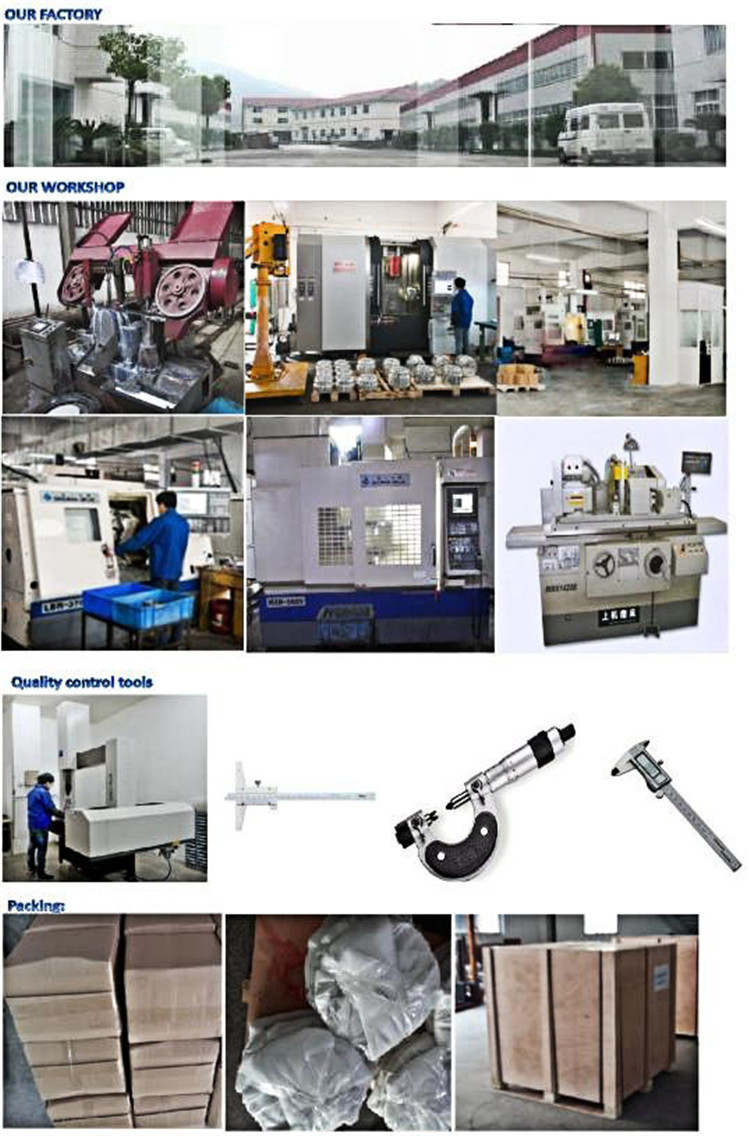 High Precision Machine Part Brass/Steel Auto Metal Parts