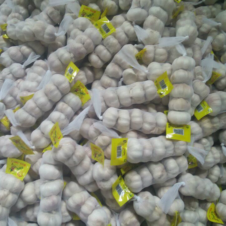 Professional Exporter for Normal White Garlic (4.5cm and up)