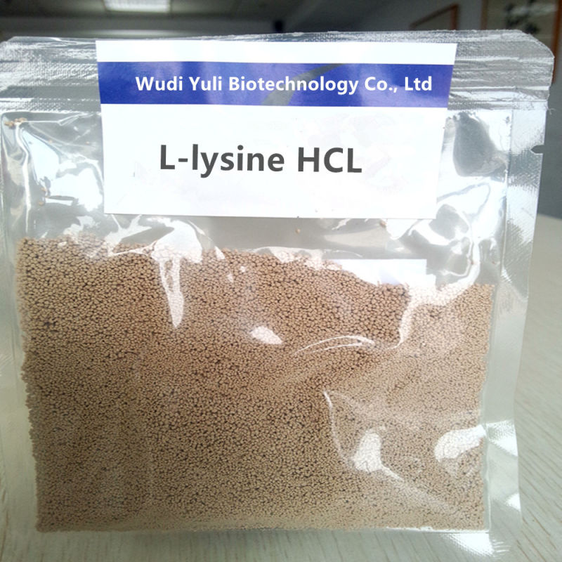 Time Honored Supplier Offer L-Lysine Hydrochloride