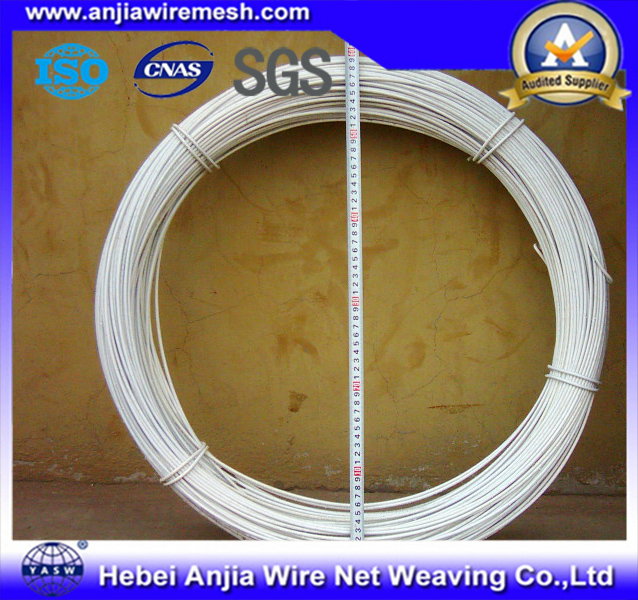 PVC Coated Galvanized Wire (CE, SGS, ISO)