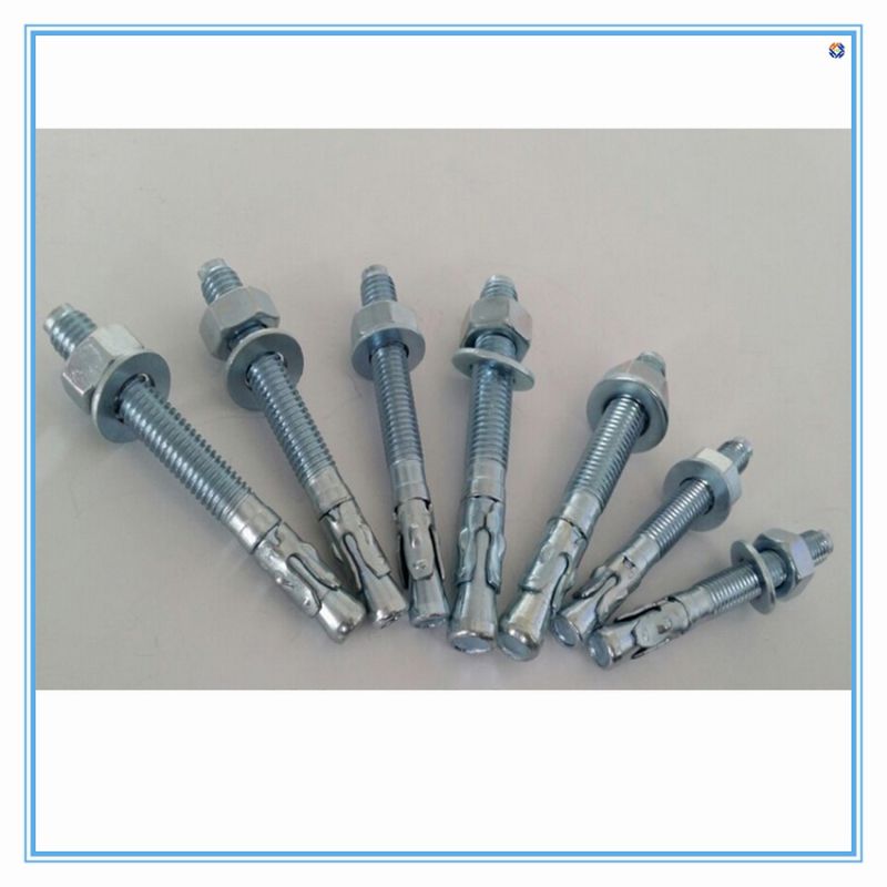 Cold Forging Parts Special Screws Anchor Bolt by China Supplier