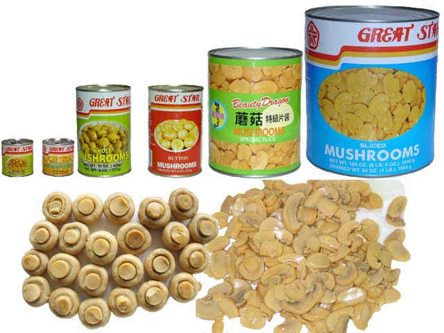 Canned Mushroom with Good Quality