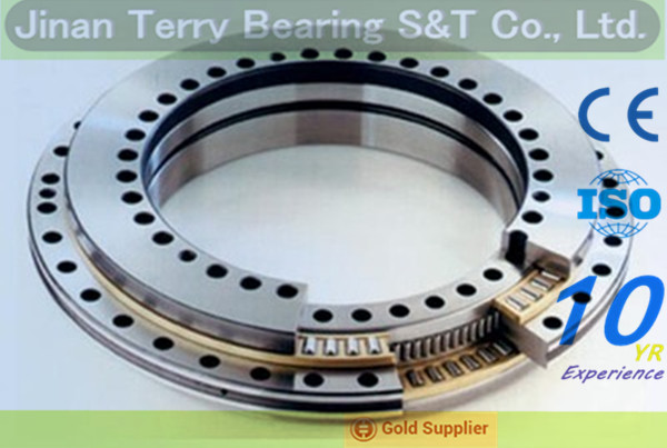 The High Quality Yrt Series Rotary Table Bearings (YRT50)