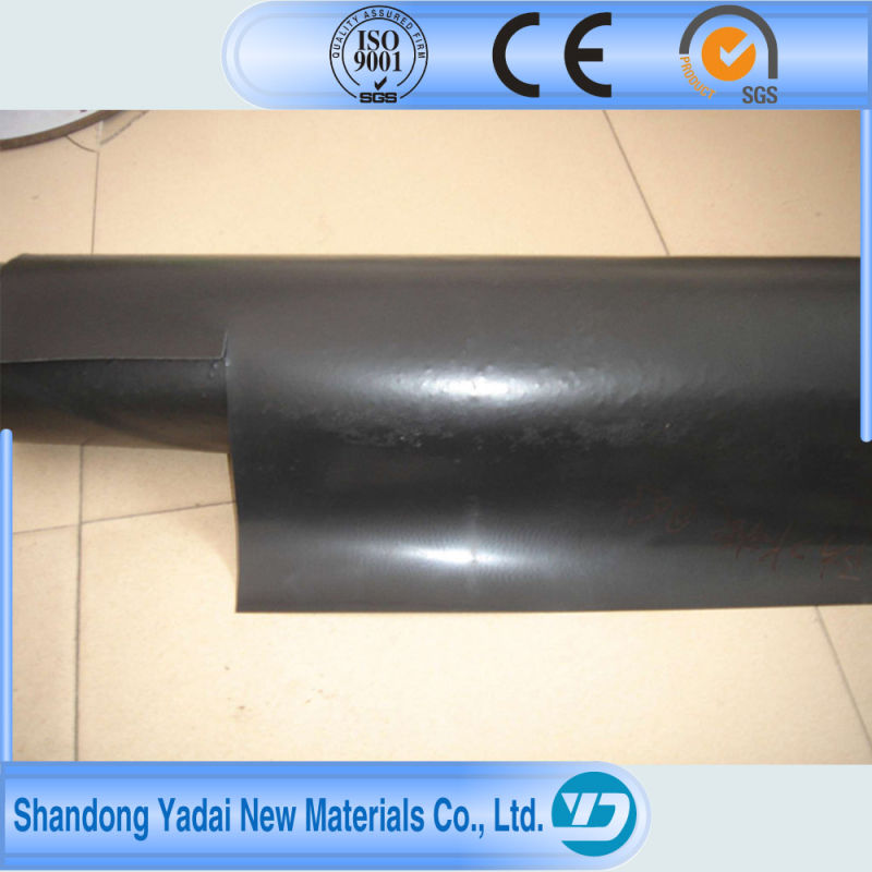 High Quality Seepage Proofing Waterproofing Geomembrane Best Price Membrane