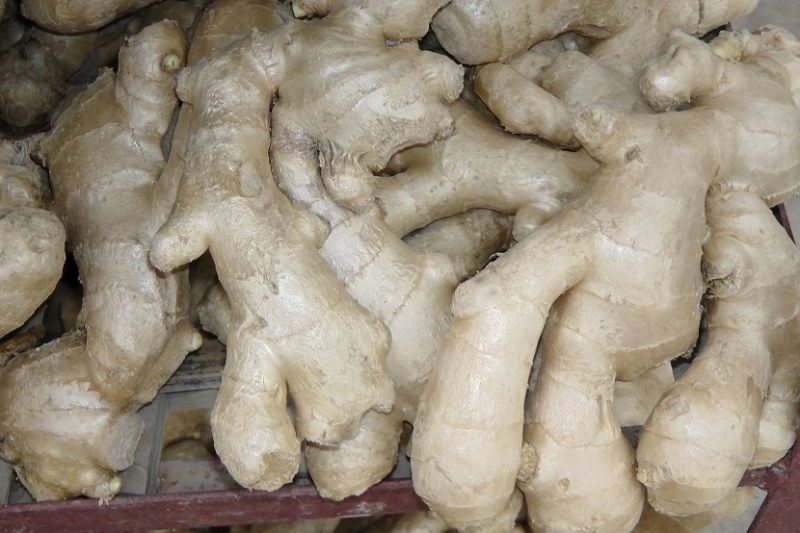 Good Quanlity Ginger/Fresh Ginger/Air-Dried Ginger