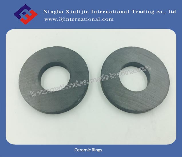 Ferrite Magnets/Ceramic Rings (XLJ-1110)