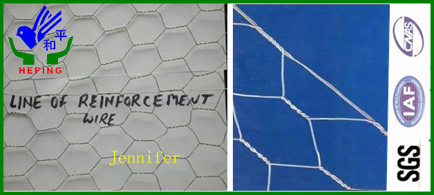 Chicken Wire / Hex Netting (HPZS-1008)