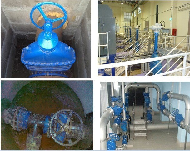 DIN F4 Rubber Wedge Gate Valve