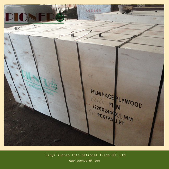 Birch Commercial Plywood for Furniture and Decorate