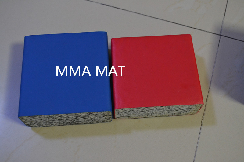 MMA Martial Arts Mat for MMA Training