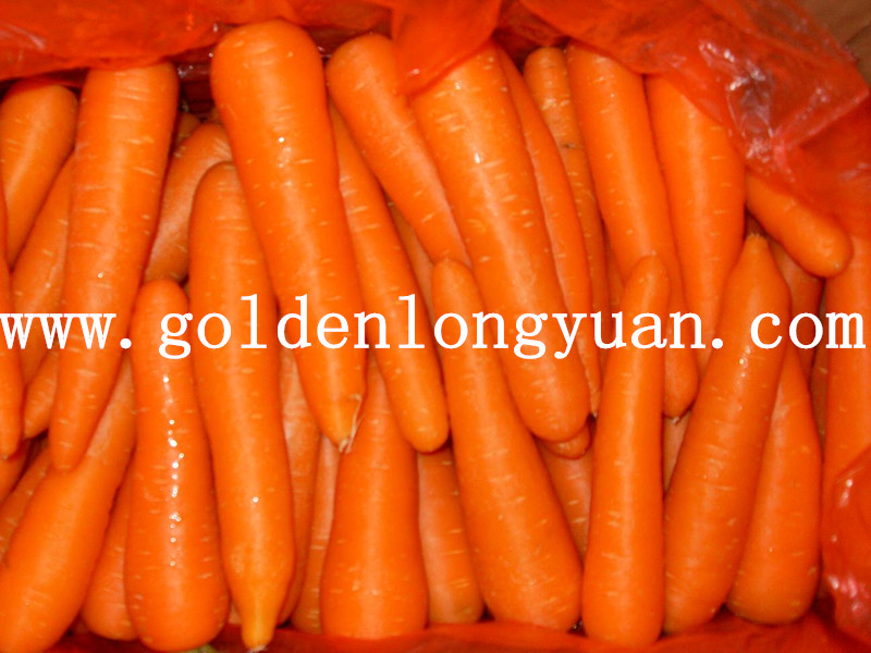 2016 New Crop Carrot From Shandong