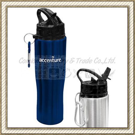 Stainless Steel Water Bottle with Lid (CL1C-G108)