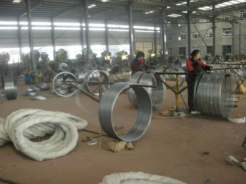 Galvanized Cross Type Razor Barbed Wire Bto-22