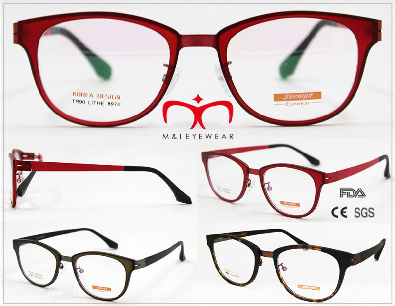 2016 Fashionable Tr90 Optical Frame in Stock (8896, 8978, 8977, 5862)