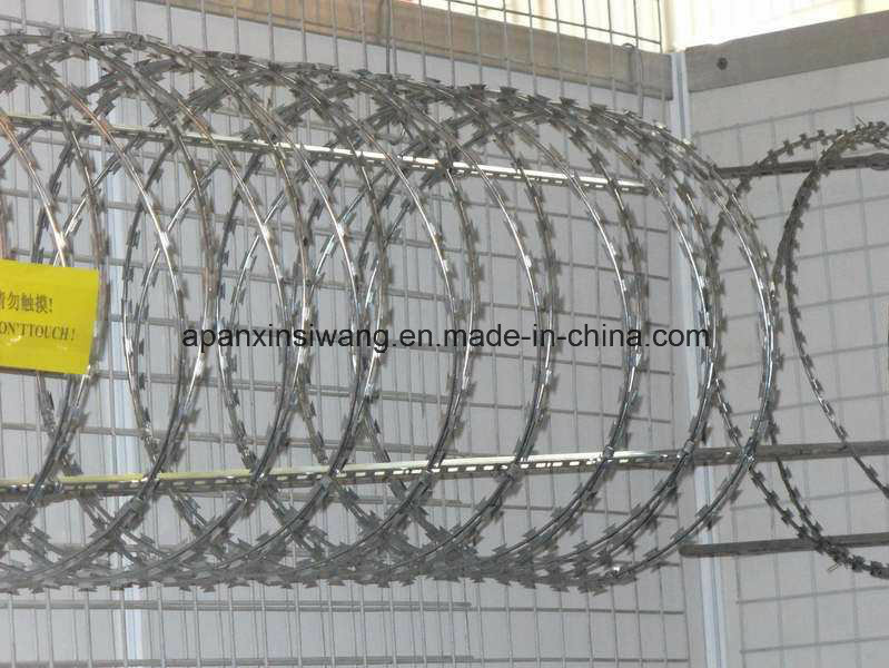 Concertina Wire