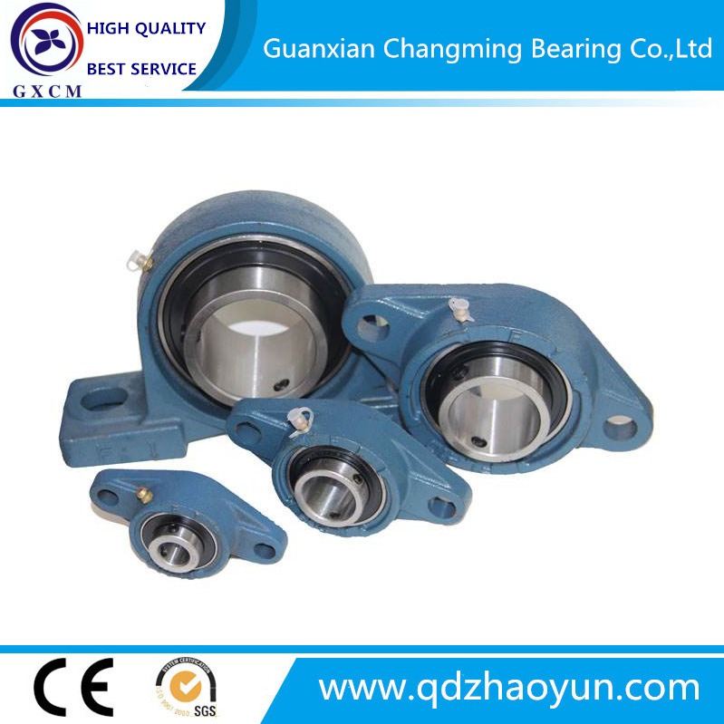 Hot Sale High Quality China Factory Pillow Block Bearing