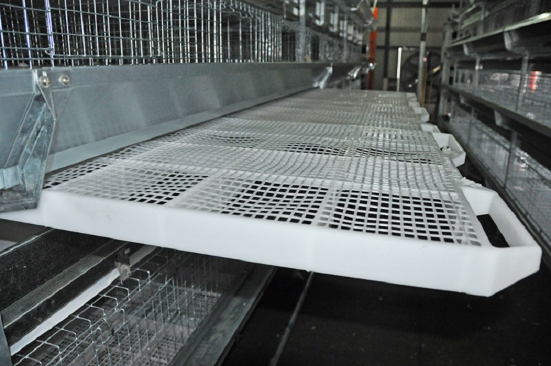 Automatic Galvanization Broiler Chicken Cage (H Type)