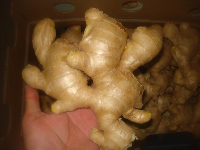 Golden Supplier in China/Fresh Ginger/2015 New Crop/Air-Dried Ginger