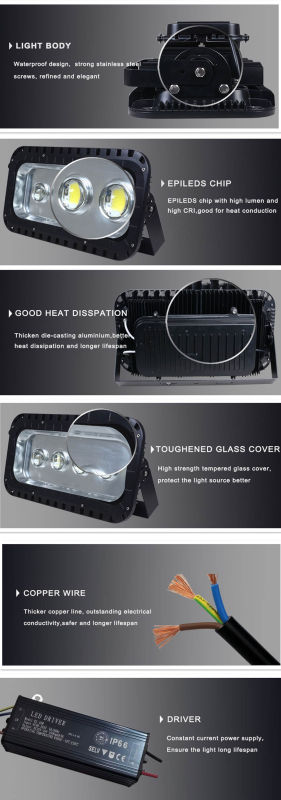 Long Lifespan LED Flood Light with Bridgelux Chip (IP65)