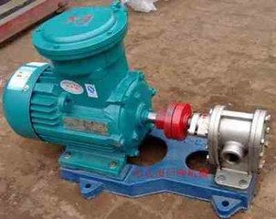 2cy4.2/2.5 Stainless Steel Gear Oil Pump