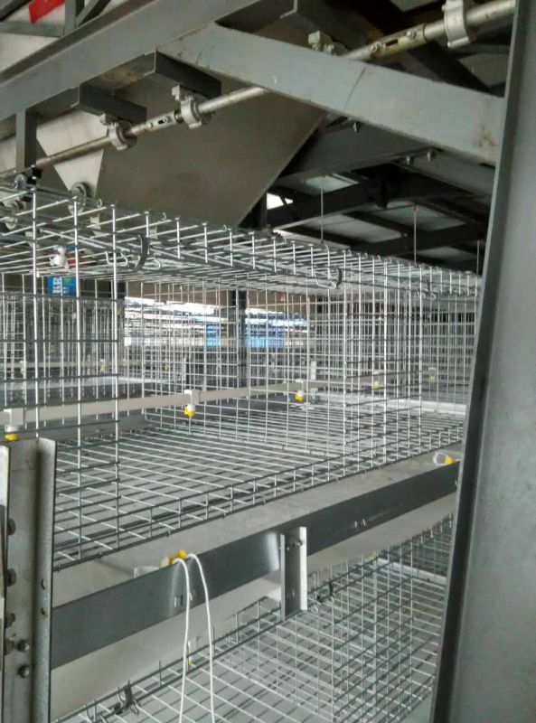 H Type Automatic Poultry Equipment Broiler Cage