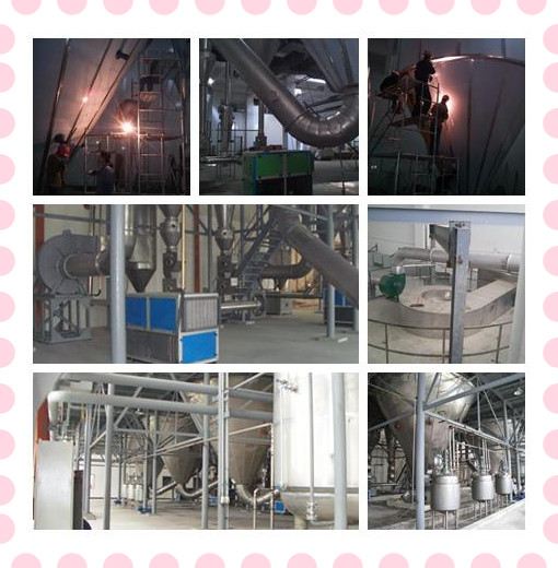 Poultry Blood Processing Spray Dryer