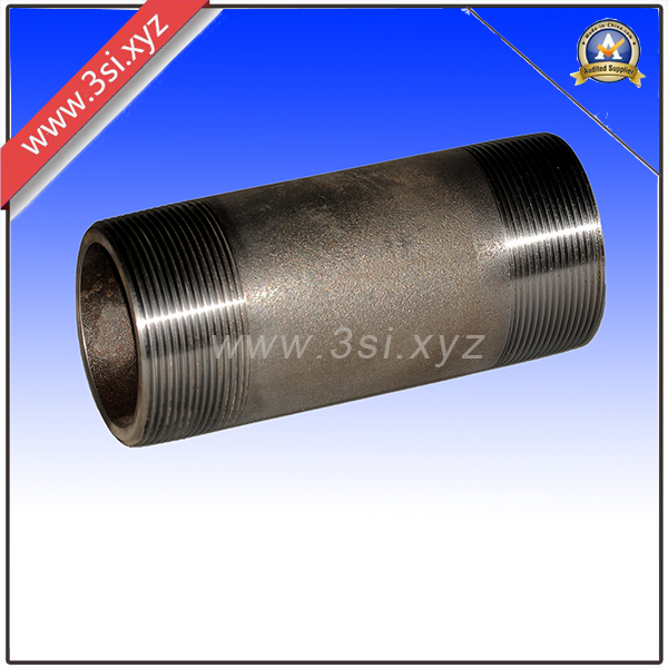 Forged Stainless Steel Threaded Pipe Nipple (YZF-PZ127)