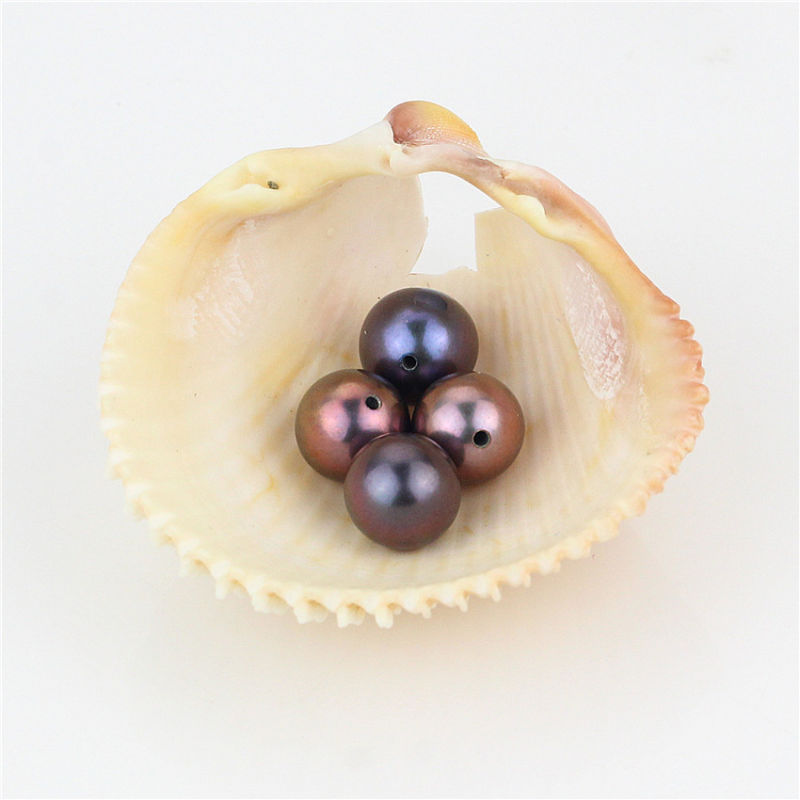 Snh Peacock Color 7.5-8mm Fashion Round Pearl Loose Beads