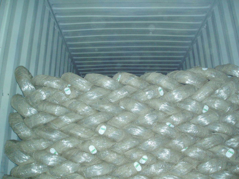 Galvanized Iron Wire Made in China Is on Hot Sale