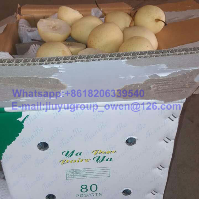 Food Grade New Crop Top Quality Pear