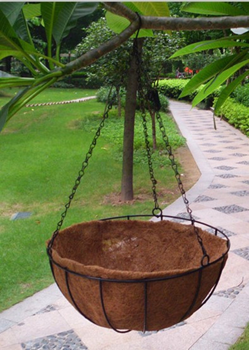 Wrought Iron Hanging Basket with Coconut Liner and Chain