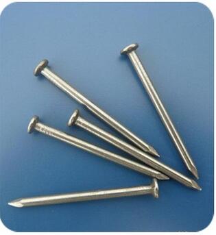 Hot Selling Cheap Concret Nails