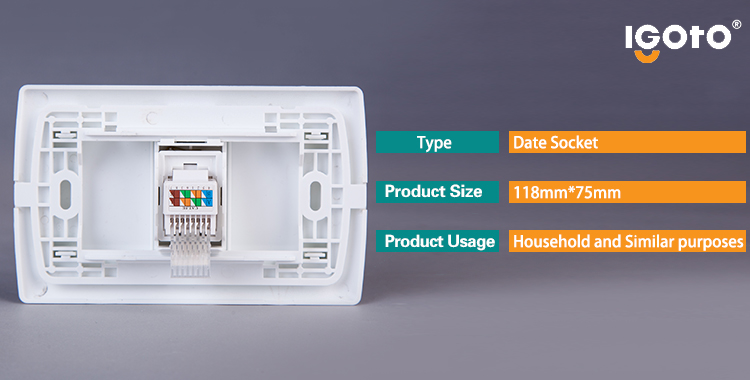 One Gang Data Socket