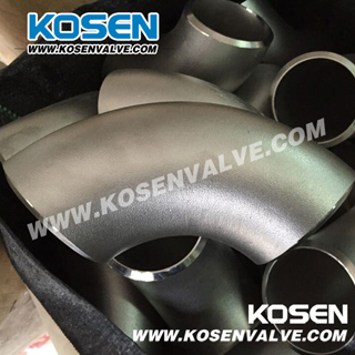 Stainless Steel Pipe Fittings (Elbow)