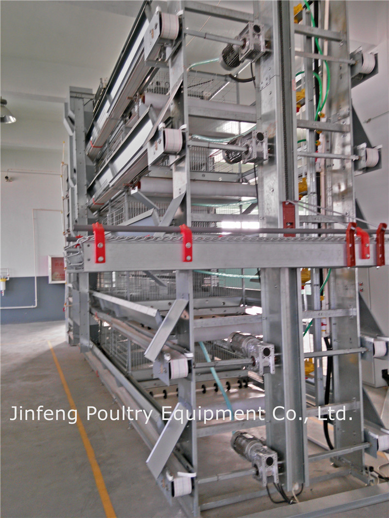 Automatic Feeding System for a H Frame Layer Broiler Cage Syetem