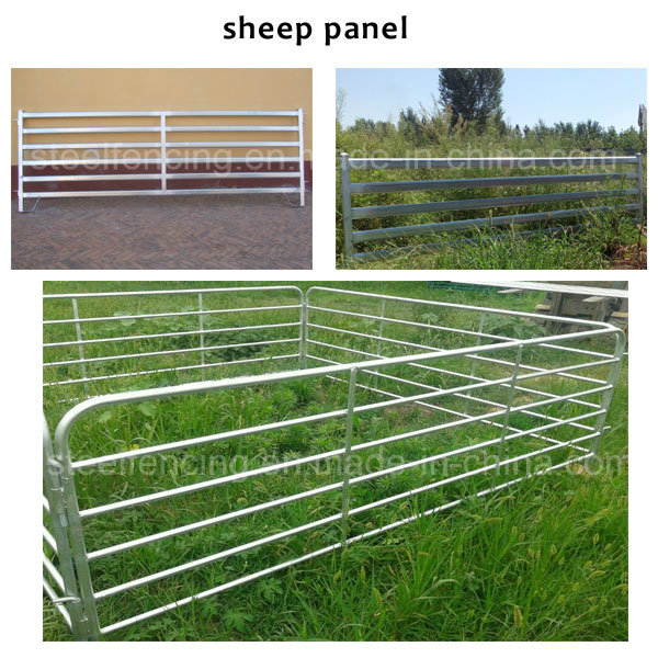 Cheap Galvanized Protable Sheep Yard Panels