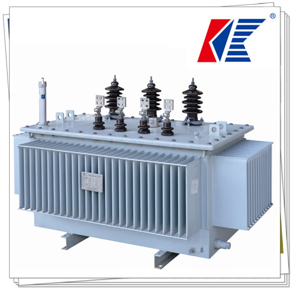 Customized Amorphous Transformer with Safety Certified